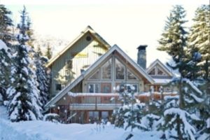 Winter rear view